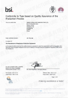 CE 认证 BSI Module D (CE certificate- BSI Module D) 